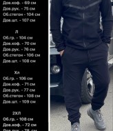 Спортивный костюм с начесом мужской MUN-1057A1399