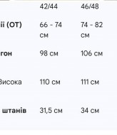 Штани з накладними кишенями KC-0458A500