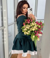 Коротка декольтована сукня YM-7038A13.5