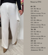 Штани лляні AB-1794A13