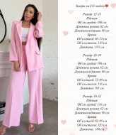 Брючный костюм женский классика DAD-234A700