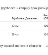 Костюм женский с велосипедками  JK-1049A399