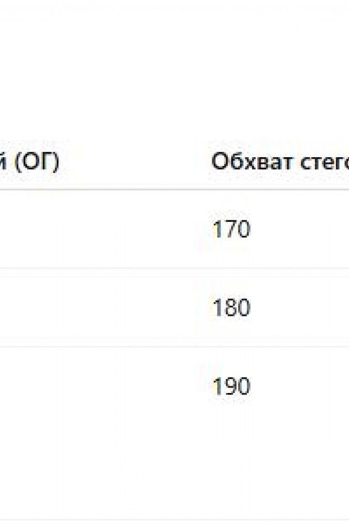 Платье женское с длинным рукавом   DAM-246A500