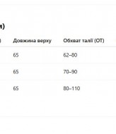 Легкий костюм   DAM-254A550