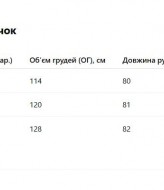 Мужская рубашка льняная VM-10514A350