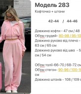 Спортивный велюровый костюм женский   HOU-283A599