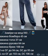 Костюм тройка велюровый женский  IPO-593A550 Костюм тройка велюровый женский  IPO-593A550