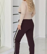 Спортивные штаны с лампасами AO-2522A450