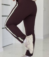 Спортивные штаны с лампасами AO-2522A400