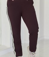 Спортивные штаны с лампасами AO-2522A450