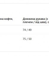 Спортивный костюм с вышивкой  JK-505A1300