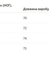 Чоловіча вишиванка AMU-1010A890 