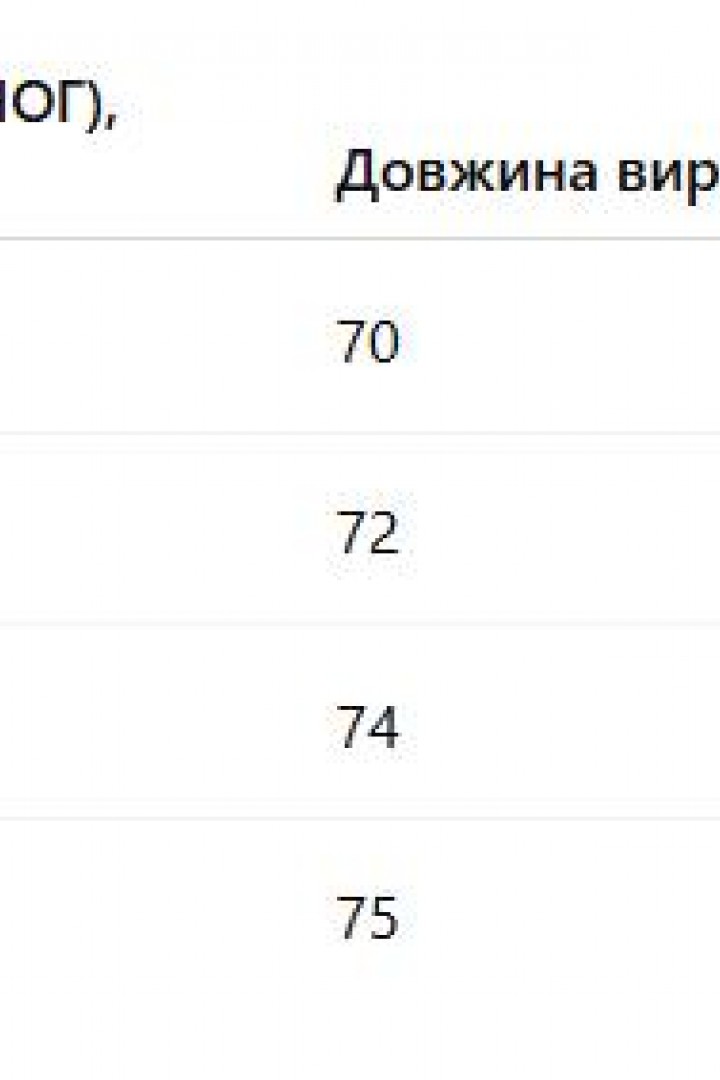 Чоловіча вишиванка AMU-1010A890 