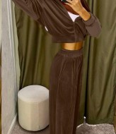 Велюровый костюм спортивный  IPO-628A450