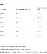 Блуза вышиванка  AMU-5613A850
