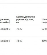 Костюм женский велюр   JK-022A650