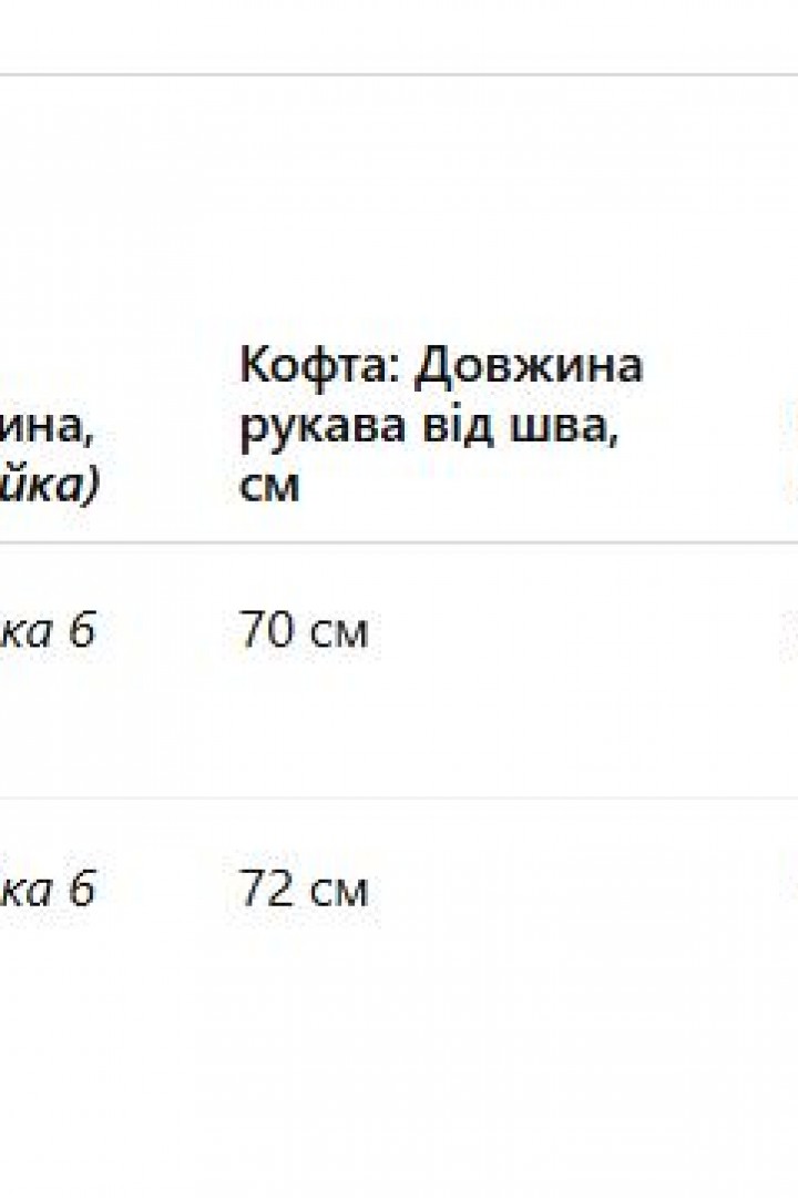Комфортний  велюровий  костюм   JK-022A650 