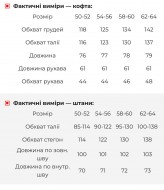Женский костюм осень  ST-918.1A650