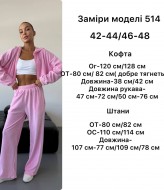 Велюровий  спортивний костюм ANB-514A950 