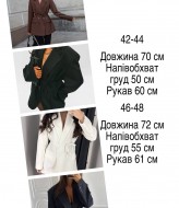 Подовжений жакет  EPZ-469A520  
