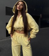 Женский флисовый спортивный костюм  ANB-520A650