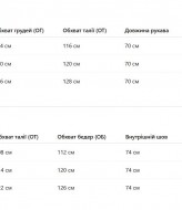 Велюровый теплый костюм   AO-2521.1A950