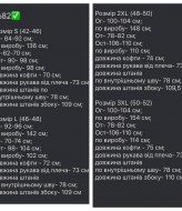 Спортивные штаны на флисе  SF-5682A500