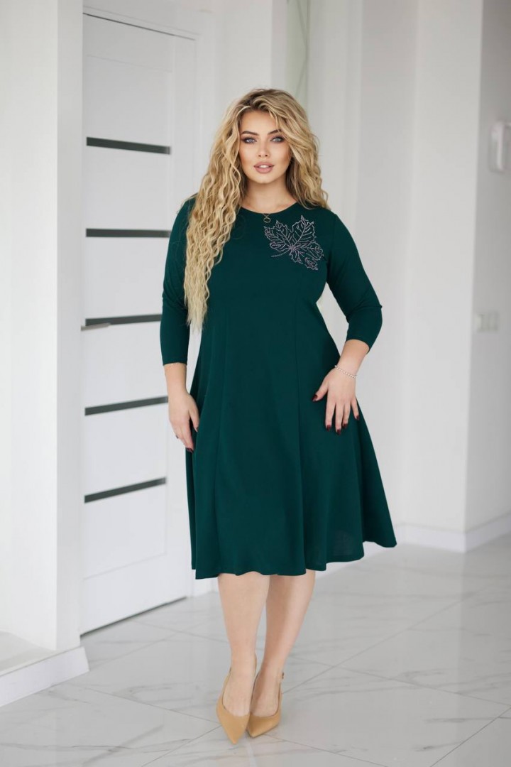 Сукня з гарною аплікацією AO-2531A530
