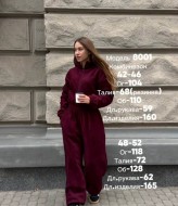 Флисовый комбинезон женский  JOM-8001A640