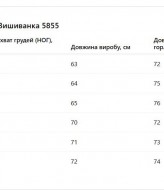 Блуза   вишиванка  AMU-5855A899