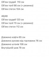 Костюм спортивный на флисе  ANM-400A600