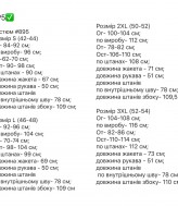 Брючный костюм из бархата  RK-895A700