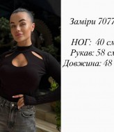 Лонгслив вискоза SPL-7077A280 Лонгслив вискоза SPL-7077A280