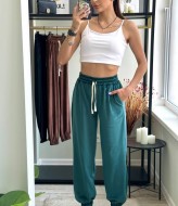 Велюровые спортивные штаны  LOU-1535A350