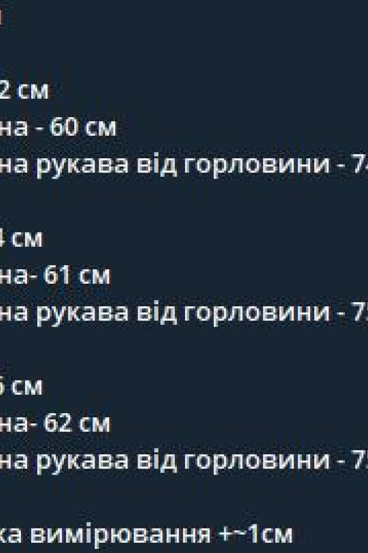 Блуза   вишиванка  AMU-5964A1050