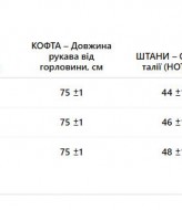 Теплий костюм  AMU-027A1099  
