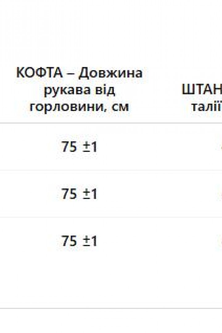 Теплий костюм  AMU-027A1099  