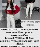 Женский спортивный костюм теплый  JAV-810.5510A740