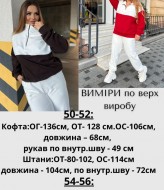 Женский спортивный костюм теплый  JAV-810.5510A740