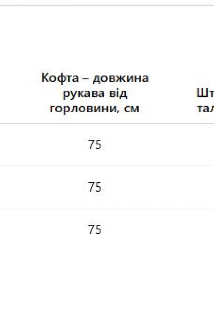 Велюровий костюм  AMU-028A1199  Велюровий костюм  AMU-028A1199