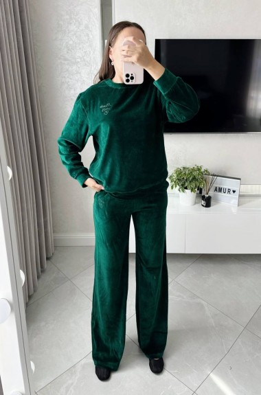 Велюровый женский костюм  AMU-028A1199