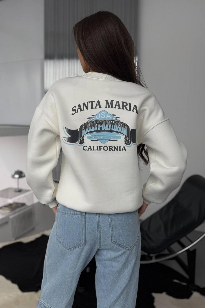 Свитшот в стиле  Harley-Davidson  ANB-466A630