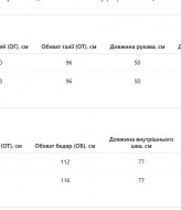 Костюм спортивний  велюровий  AO-2530A650  Костюм спортивний  велюровий  AO-2530A650