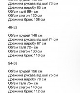 Спортивный костюм флисовый OZ-1151A800