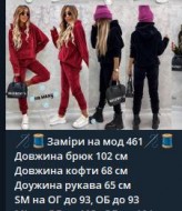 Велюровый костюм  IPO-461A460