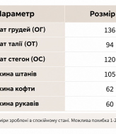 Спортивный костюм Лео BAV-2514A790