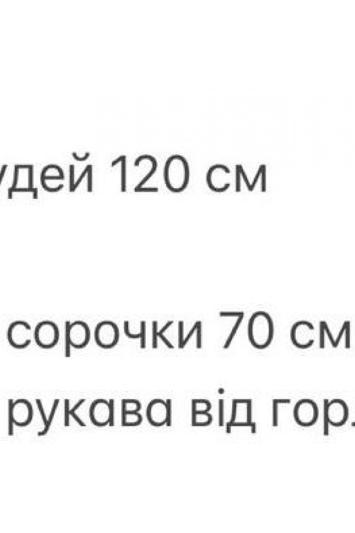 Молодіжна сорочка ANM-376A580