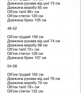 Спортивный костюм флисовый OZ-1160A800