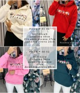 Худі з мультяшками  AMU-1353.353A350 