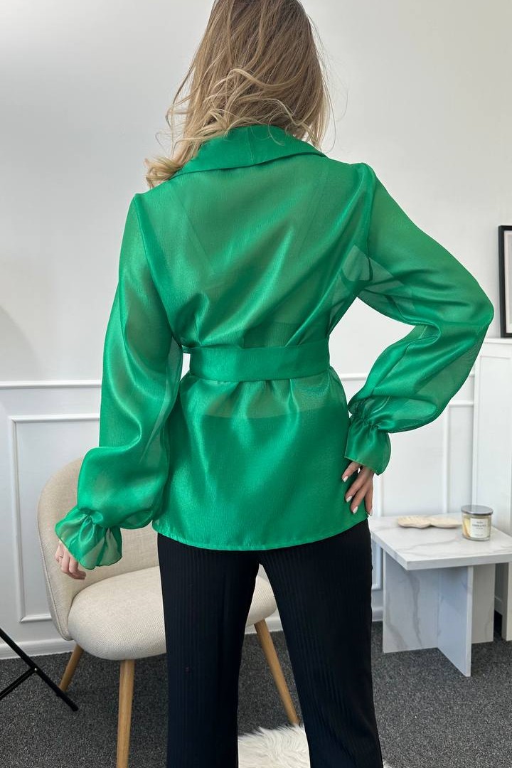 Блуза  органза  SOL-3011.1A450 